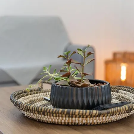 Syros Doublets Frühstückspension