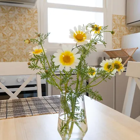 Frühstückspension Syros Doublets 4*