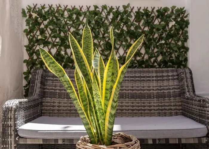 Syros Doublets Alojamento de Acomodação e Pequeno-almoço